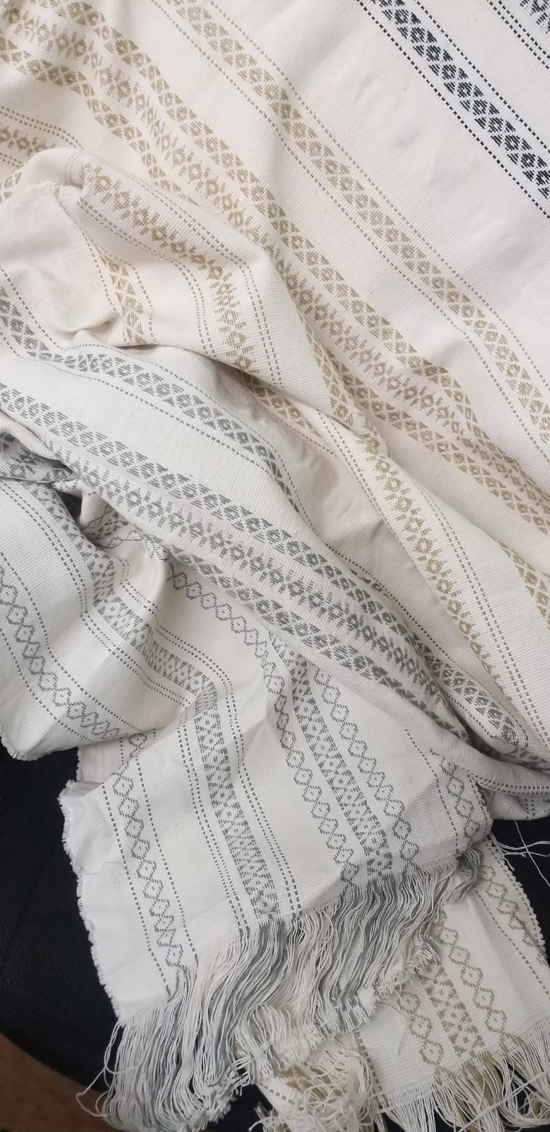 WhatsApp Image 2026-01-29 at 12.53.21 PM