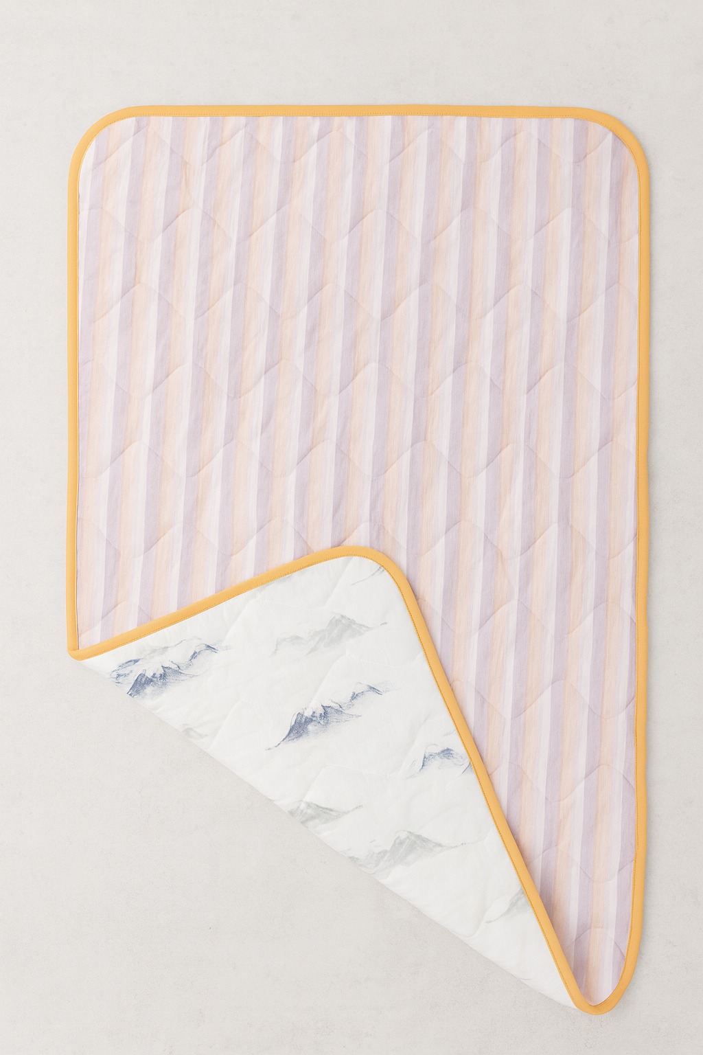 WhatsApp Image 2026-01-29 at 12.53.25 PM